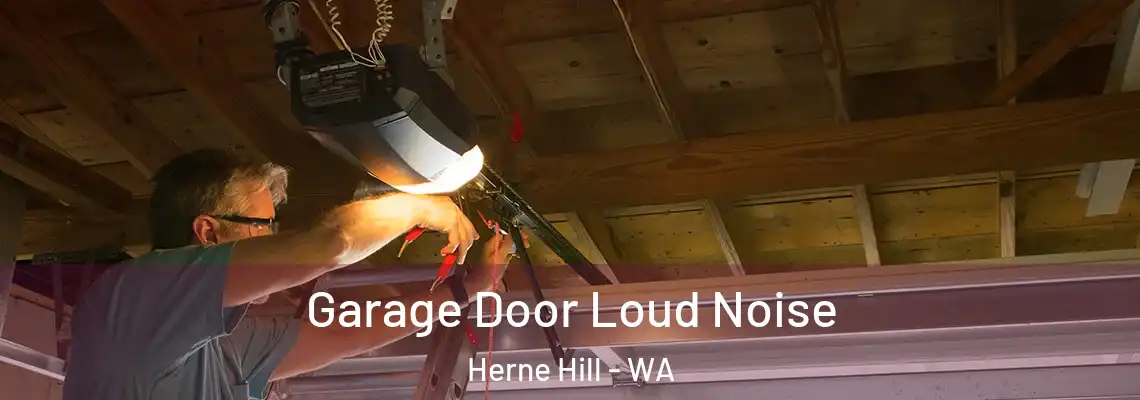  Garage Door Loud Noise Herne Hill - WA
