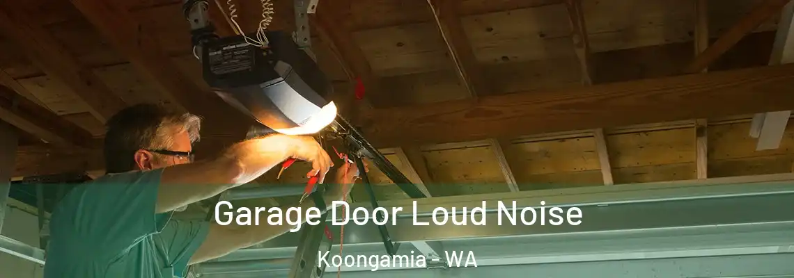  Garage Door Loud Noise Koongamia - WA