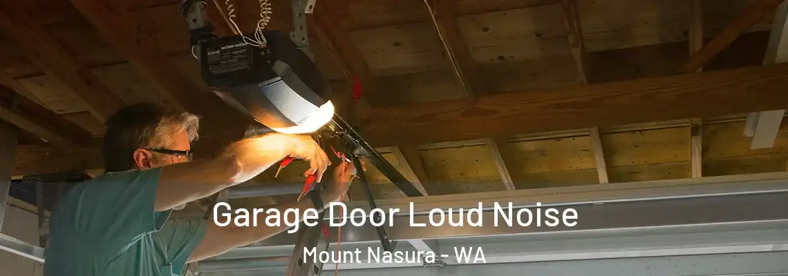 Garage Door Loud Noise Mount Nasura - WA