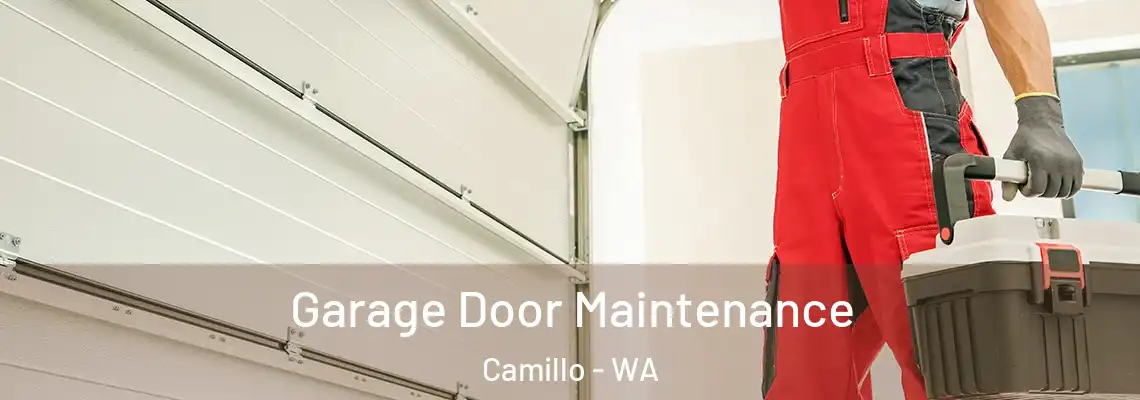  Garage Door Maintenance Camillo - WA