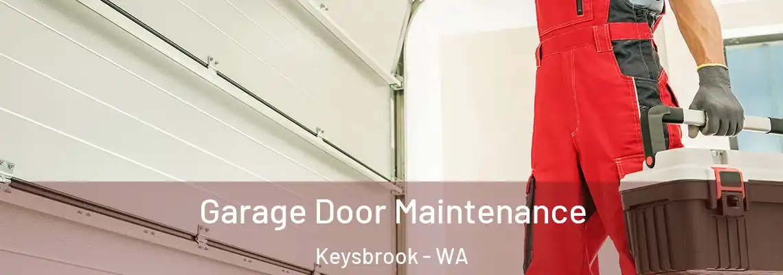  Garage Door Maintenance Keysbrook - WA