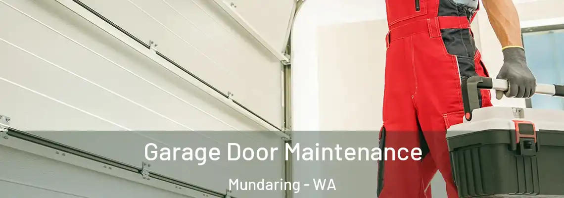  Garage Door Maintenance Mundaring - WA