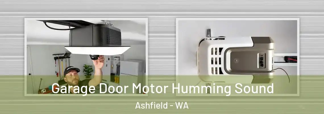 Garage Door Motor Humming Sound Ashfield - WA