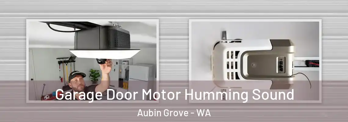  Garage Door Motor Humming Sound Aubin Grove - WA