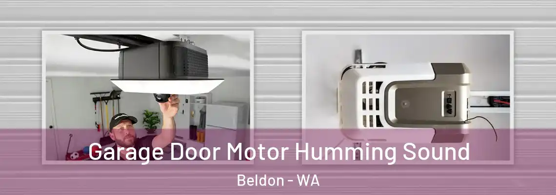 Garage Door Motor Humming Sound Beldon - WA