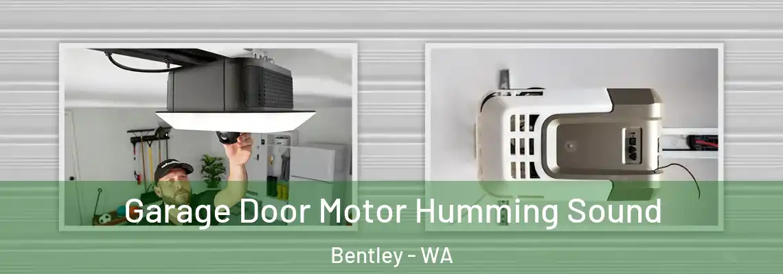  Garage Door Motor Humming Sound Bentley - WA
