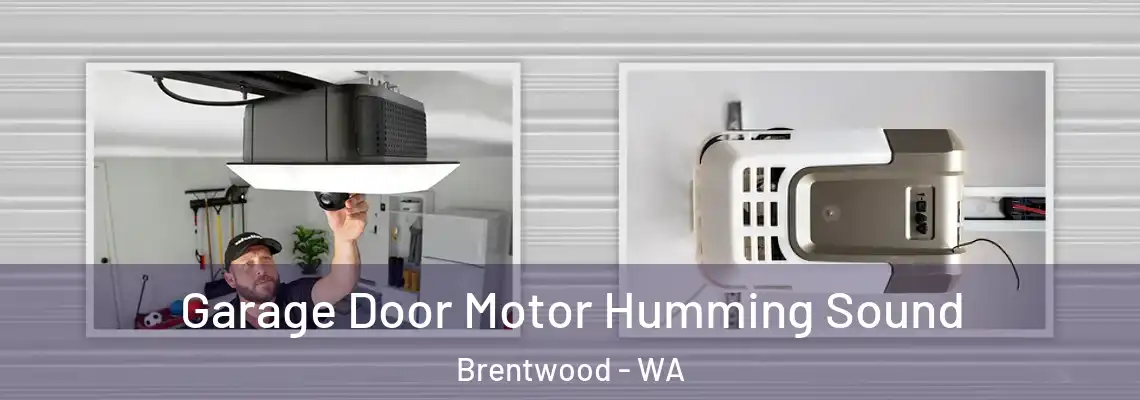  Garage Door Motor Humming Sound Brentwood - WA