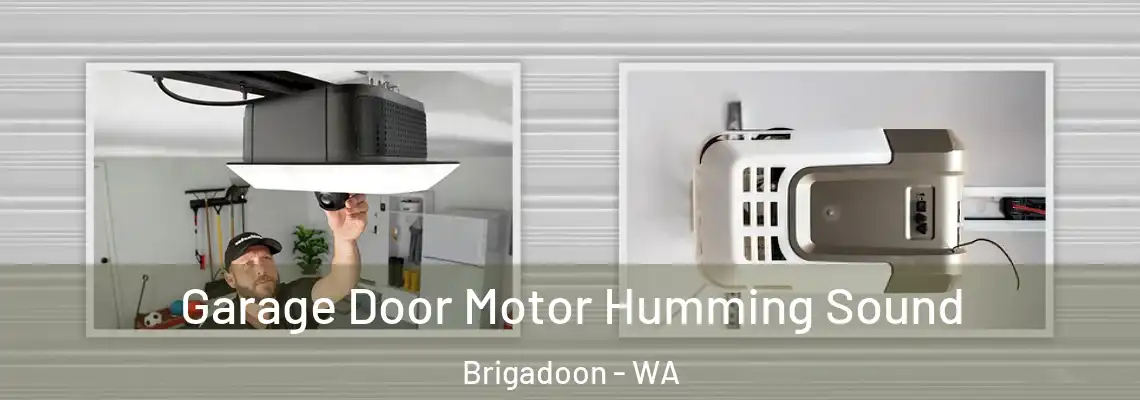 Garage Door Motor Humming Sound Brigadoon - WA