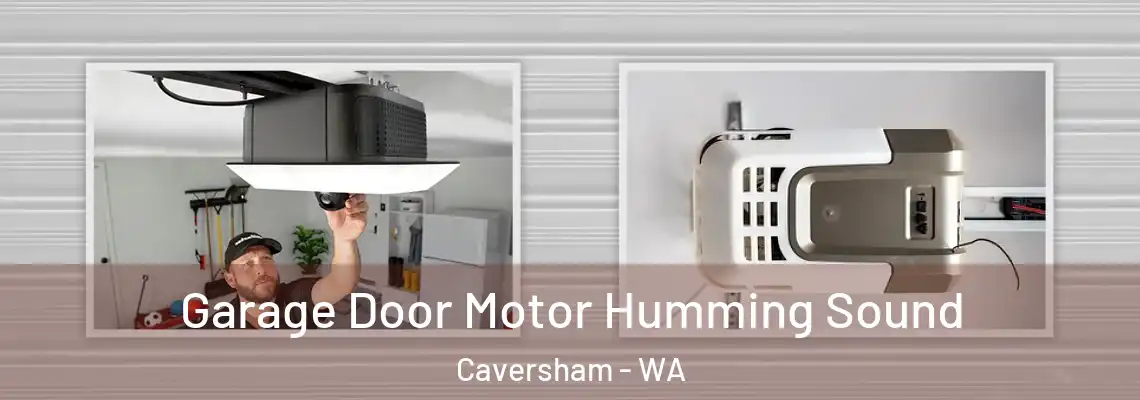  Garage Door Motor Humming Sound Caversham - WA