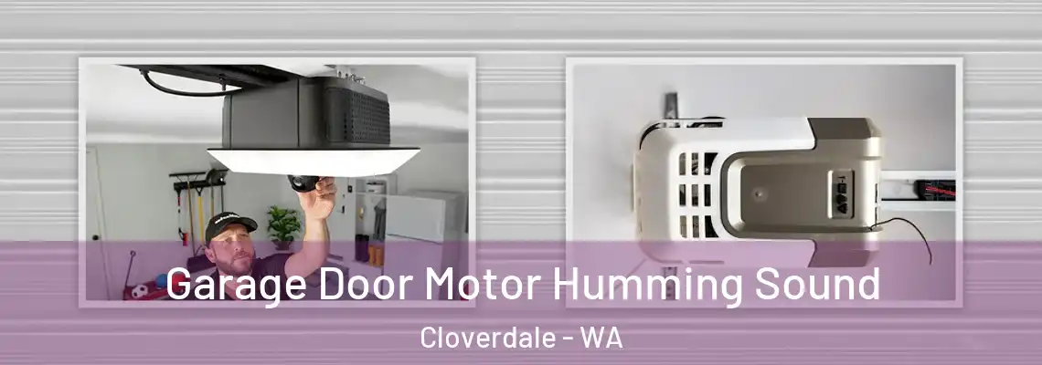 Garage Door Motor Humming Sound Cloverdale - WA