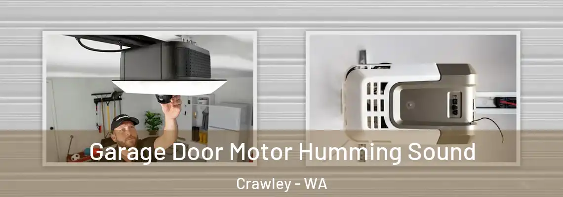 Garage Door Motor Humming Sound Crawley - WA