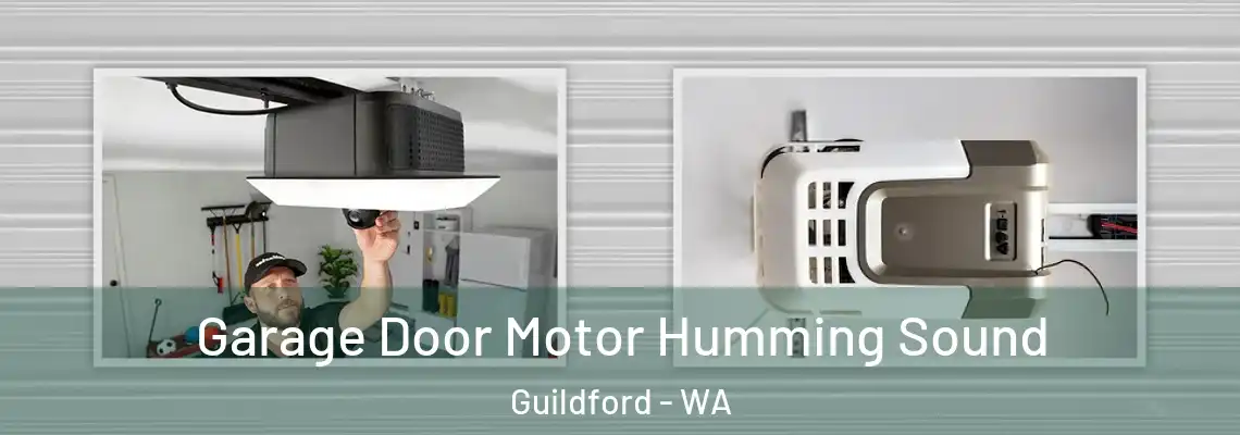Garage Door Motor Humming Sound Guildford - WA