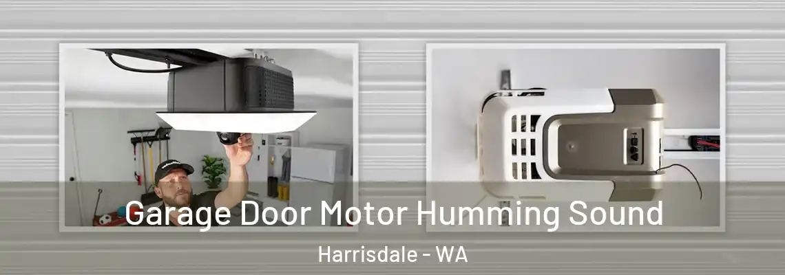  Garage Door Motor Humming Sound Harrisdale - WA