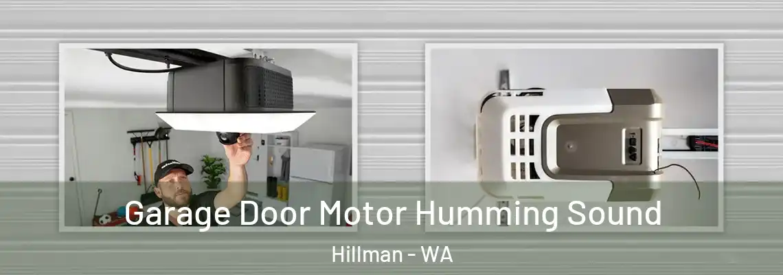 Garage Door Motor Humming Sound Hillman - WA