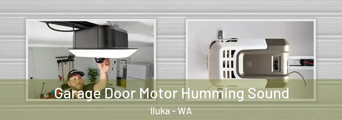  Garage Door Motor Humming Sound Iluka - WA