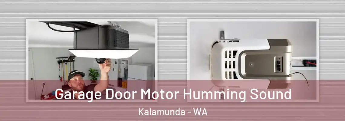  Garage Door Motor Humming Sound Kalamunda - WA