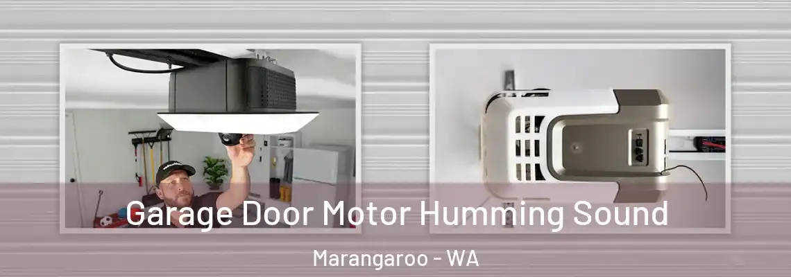  Garage Door Motor Humming Sound Marangaroo - WA