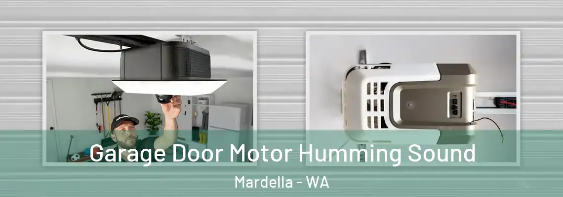  Garage Door Motor Humming Sound Mardella - WA