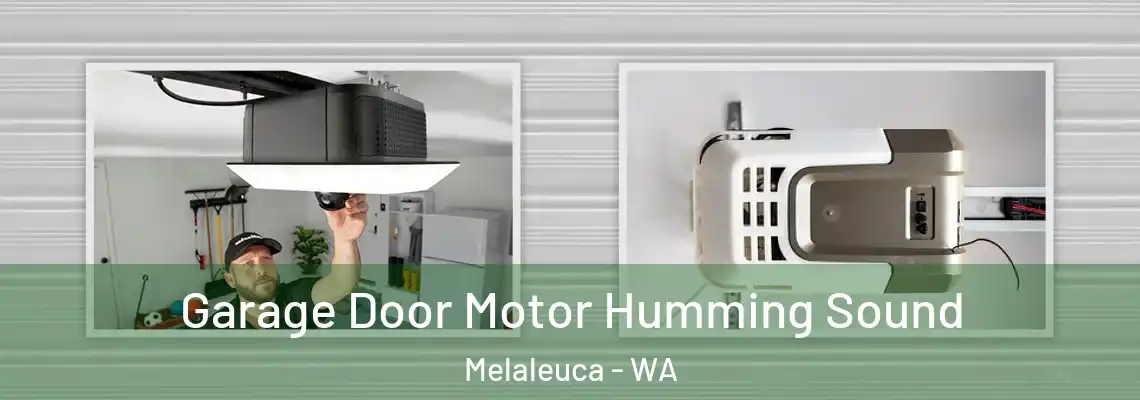  Garage Door Motor Humming Sound Melaleuca - WA