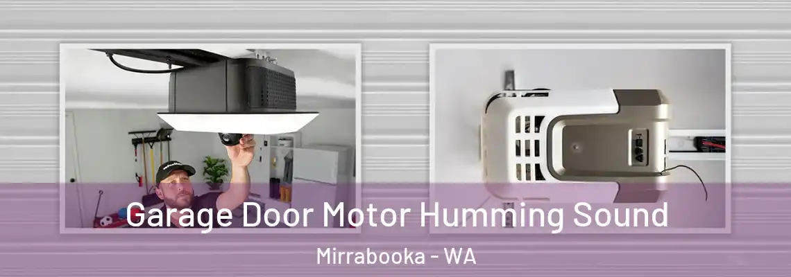  Garage Door Motor Humming Sound Mirrabooka - WA