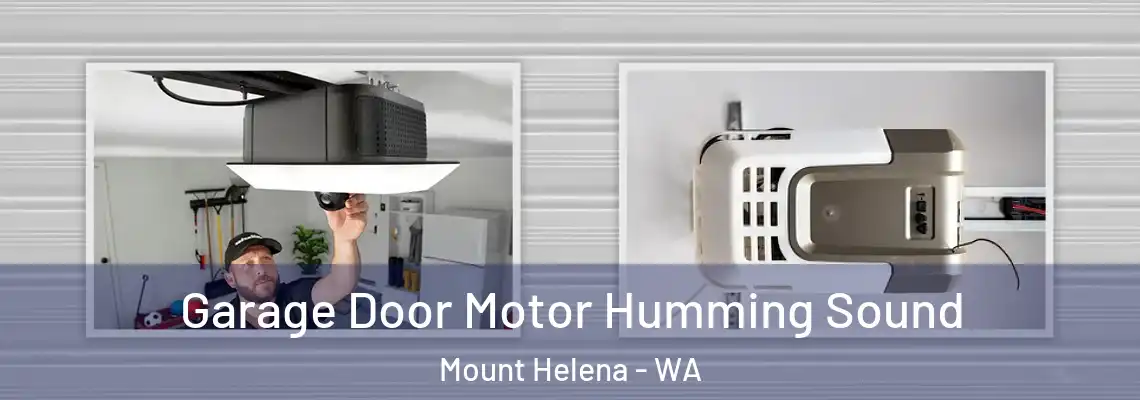  Garage Door Motor Humming Sound Mount Helena - WA