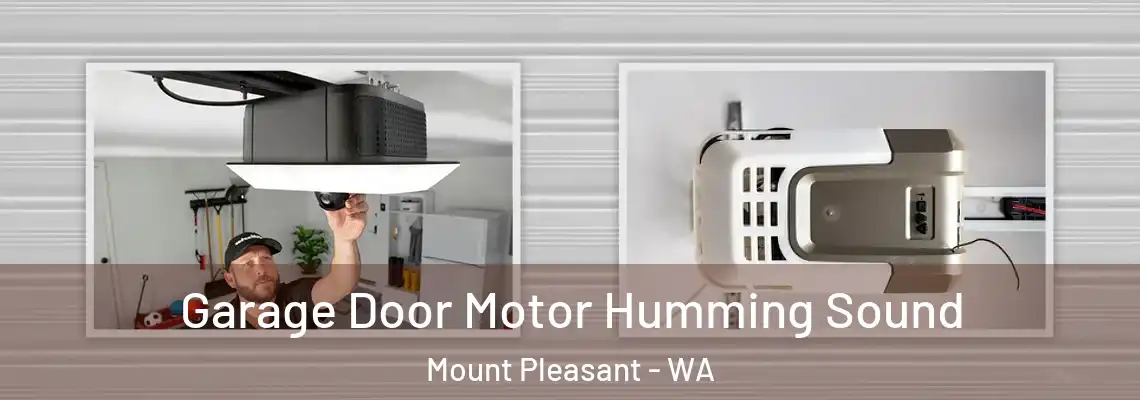  Garage Door Motor Humming Sound Mount Pleasant - WA