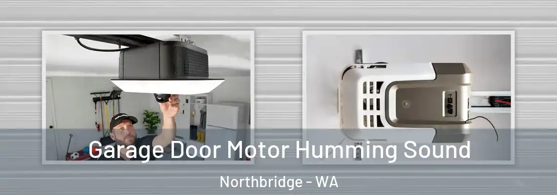  Garage Door Motor Humming Sound Northbridge - WA
