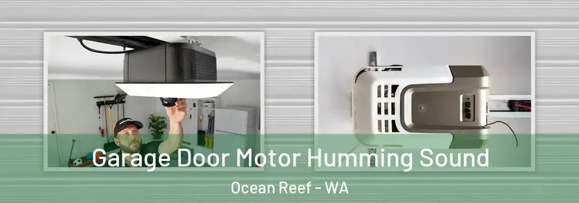 Garage Door Motor Humming Sound Ocean Reef - WA