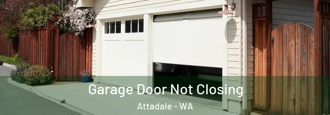  Garage Door Not Closing Attadale - WA