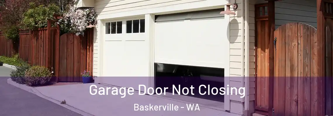  Garage Door Not Closing Baskerville - WA