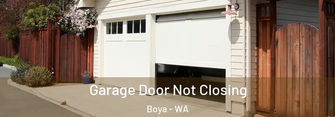  Garage Door Not Closing Boya - WA