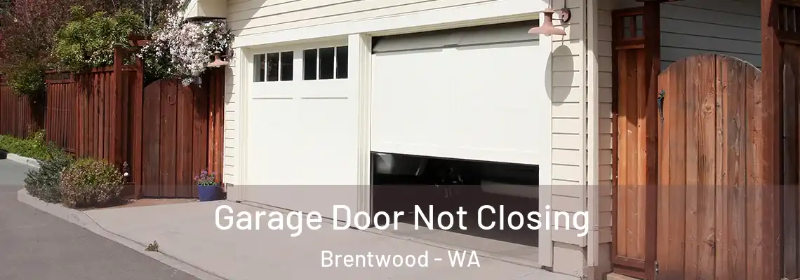  Garage Door Not Closing Brentwood - WA