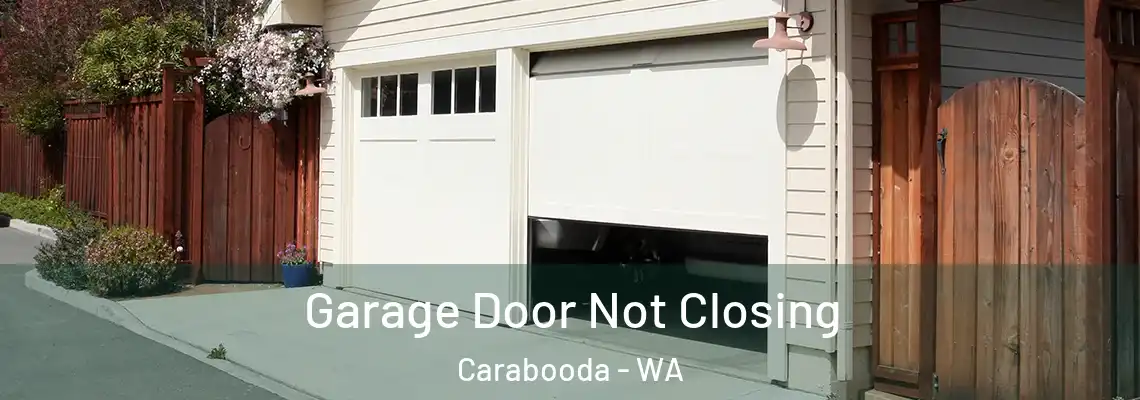  Garage Door Not Closing Carabooda - WA