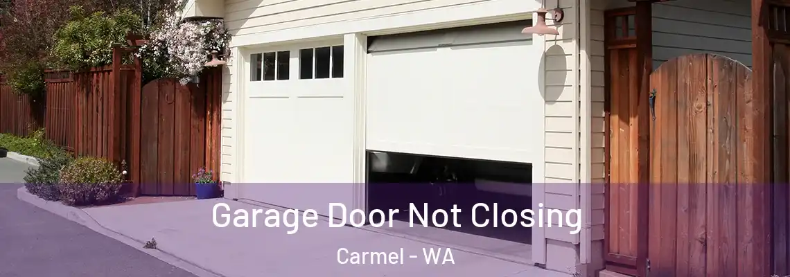  Garage Door Not Closing Carmel - WA