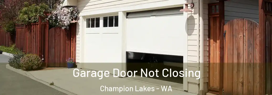 Garage Door Not Closing Champion Lakes - WA