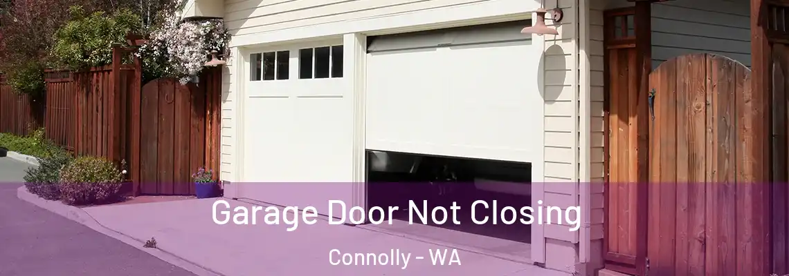  Garage Door Not Closing Connolly - WA
