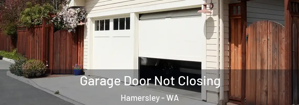  Garage Door Not Closing Hamersley - WA