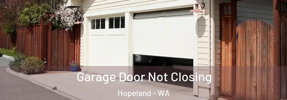  Garage Door Not Closing Hopeland - WA