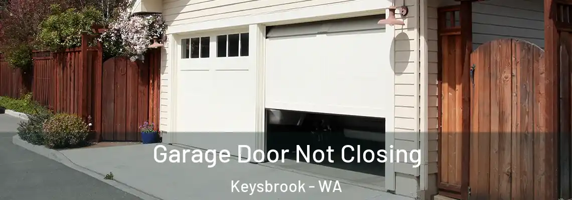  Garage Door Not Closing Keysbrook - WA