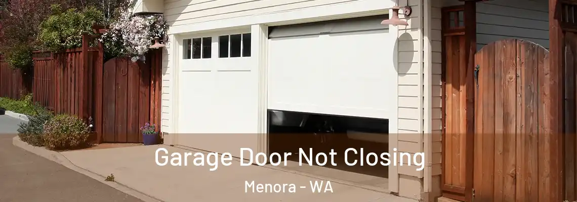 Garage Door Not Closing Menora - WA