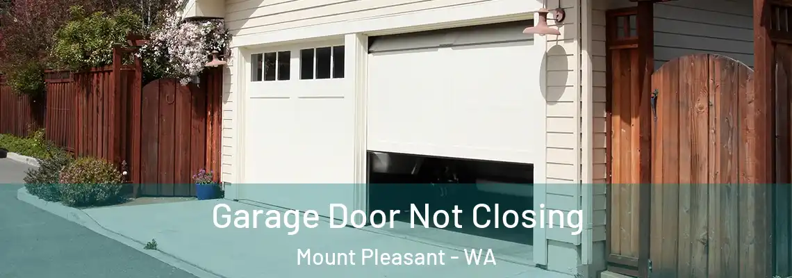  Garage Door Not Closing Mount Pleasant - WA
