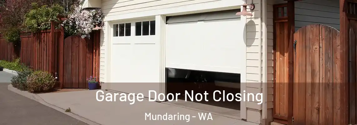  Garage Door Not Closing Mundaring - WA