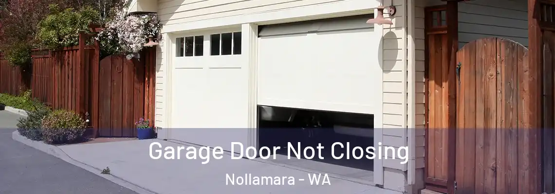  Garage Door Not Closing Nollamara - WA