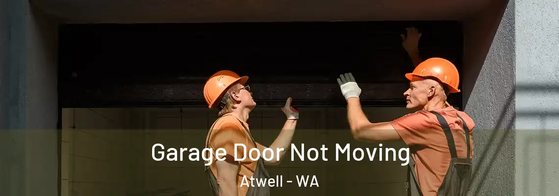  Garage Door Not Moving Atwell - WA