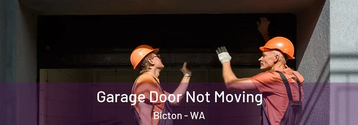  Garage Door Not Moving Bicton - WA