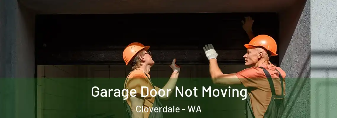  Garage Door Not Moving Cloverdale - WA