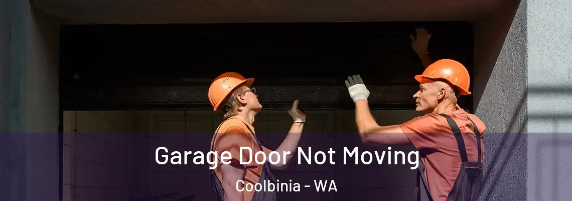  Garage Door Not Moving Coolbinia - WA