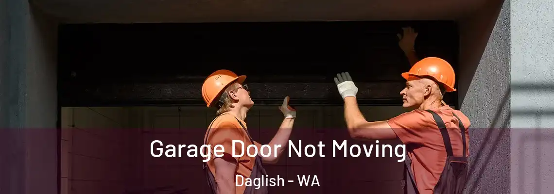  Garage Door Not Moving Daglish - WA