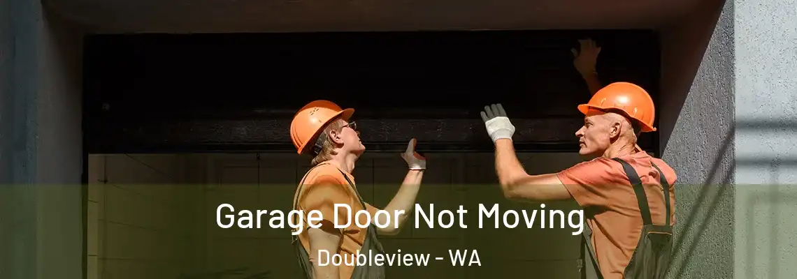  Garage Door Not Moving Doubleview - WA