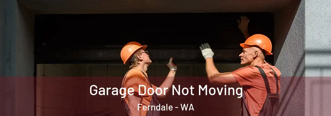  Garage Door Not Moving Ferndale - WA